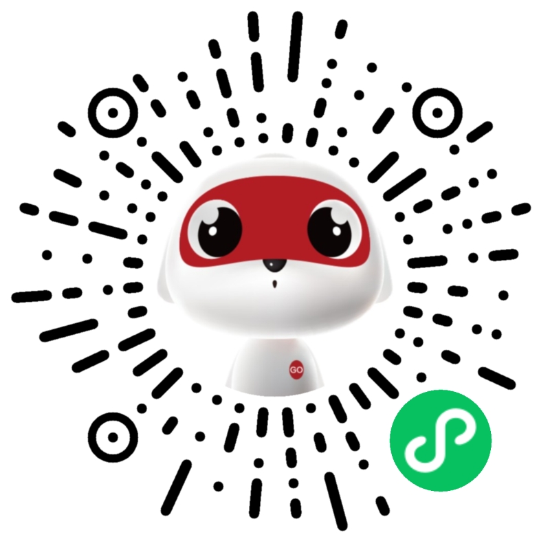 成电国芯FPGA小程序